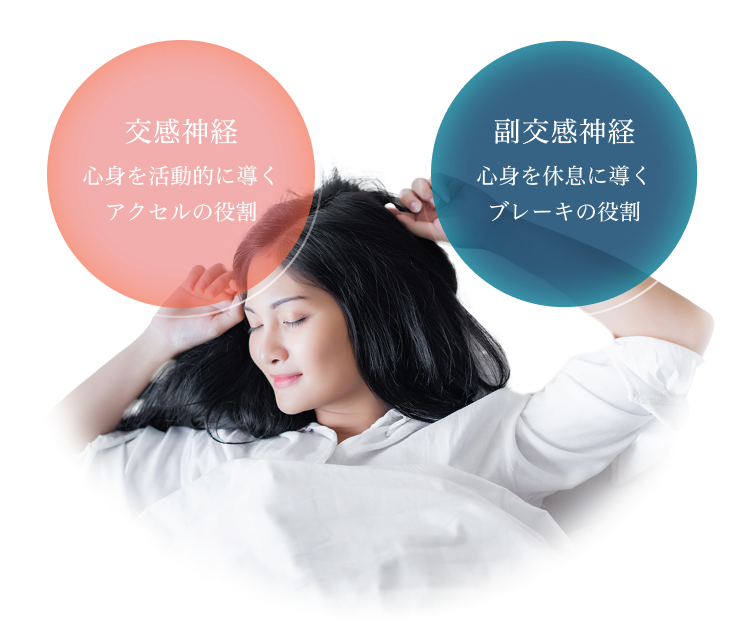 眠る女性1